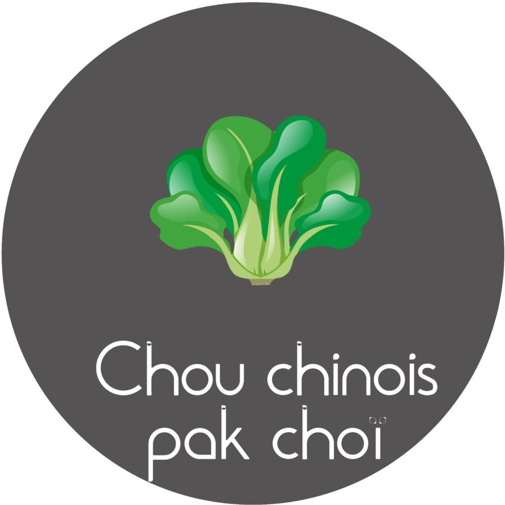 Chou chinois Pak choï