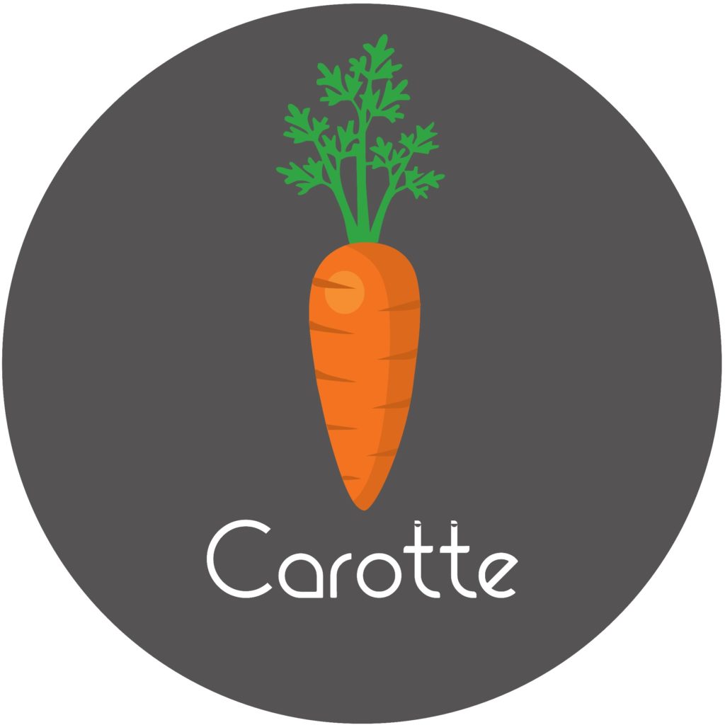 Fiche comment cultiver la carotte en permaculture