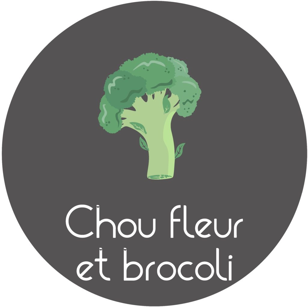 Fiche comment cultiver le chou fleur et le brocoli en permaculture